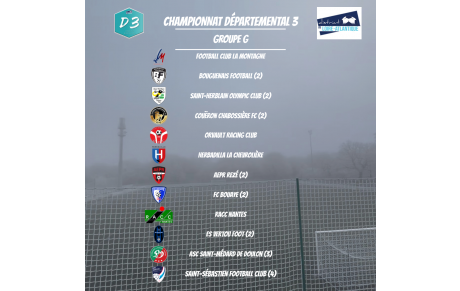 POULE ÉQUIPE FANION